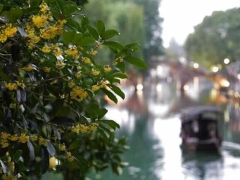 千年古镇静候互联网峰会启幕